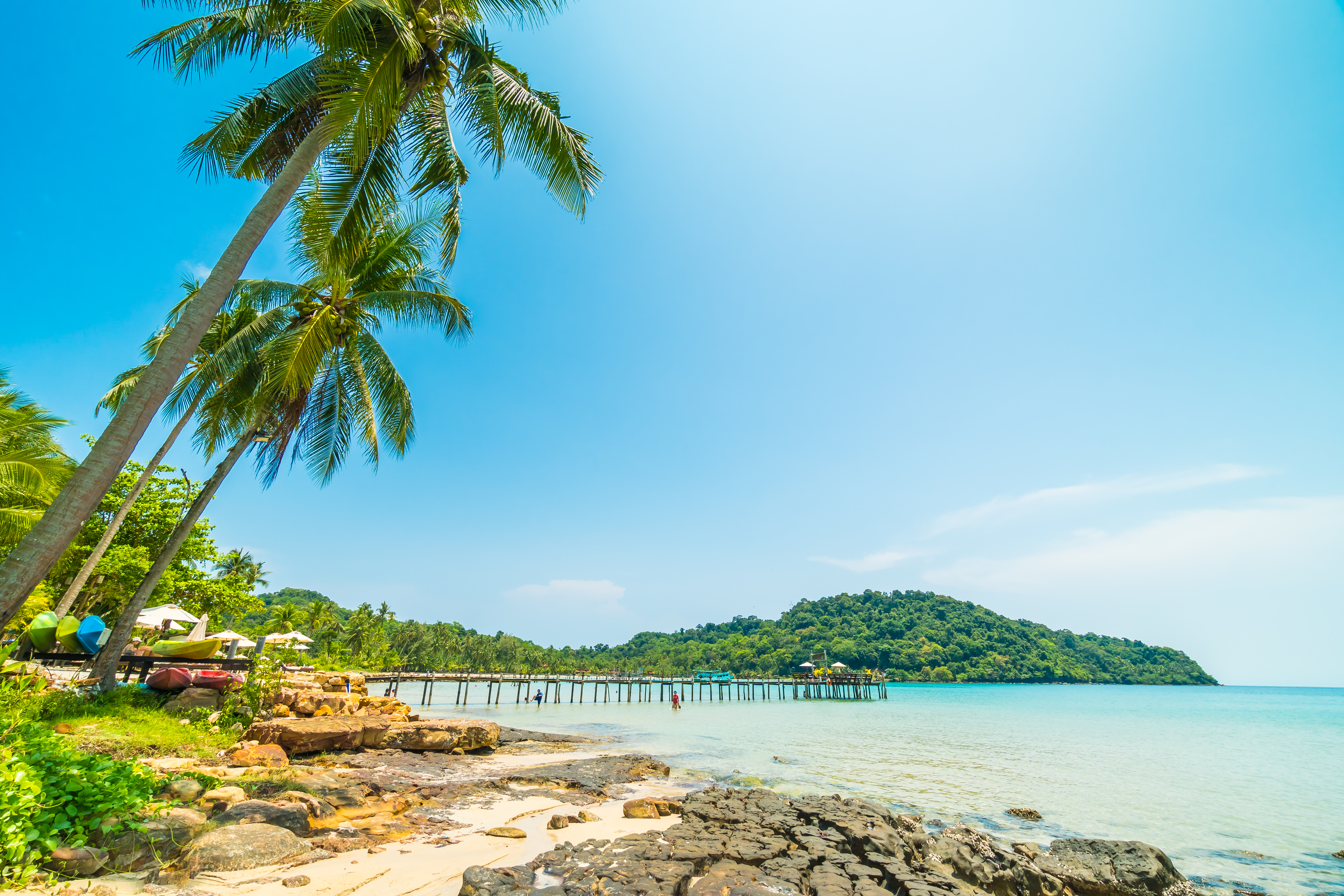 Picture of Goa Beach Fiesta