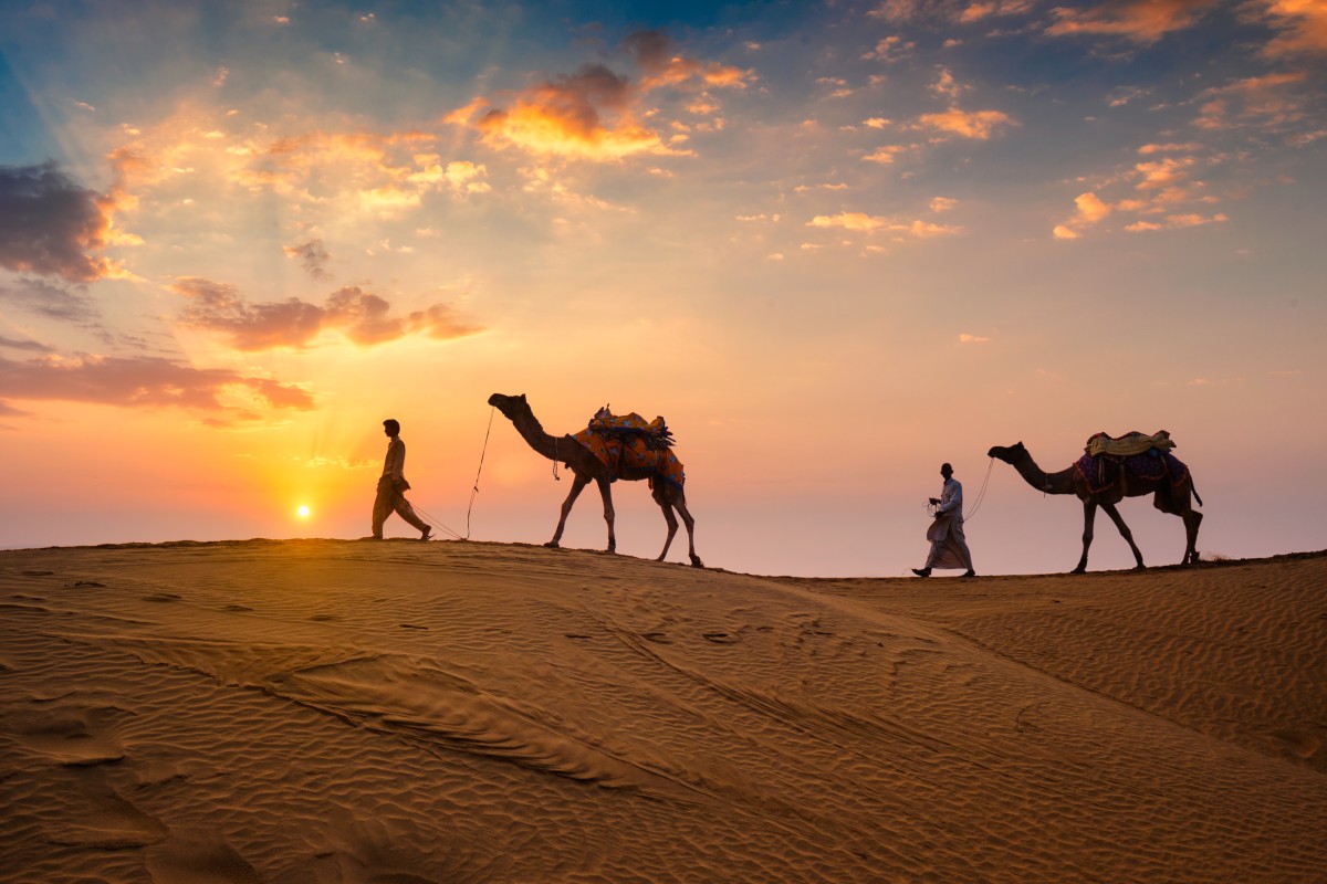 Picture of Rajasthan Royal Tour